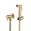 Toilet Hand Held Bidet Sprayer - Antique Brushed Gold Faucet