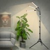 Orchbloom 3-Head Grow Light with Stand and Timer, 27 Watt