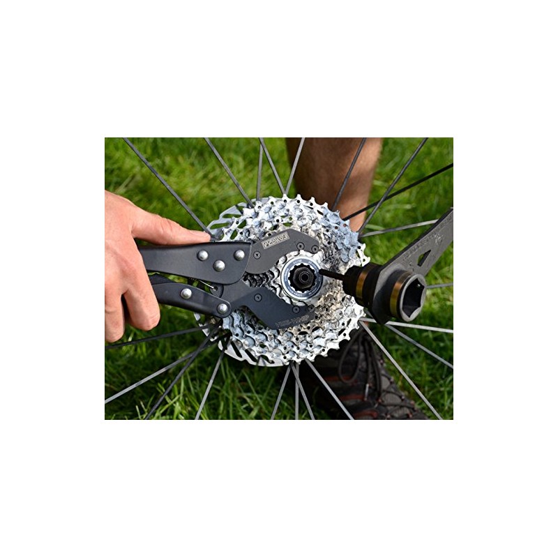 Pedro's Vise Whip