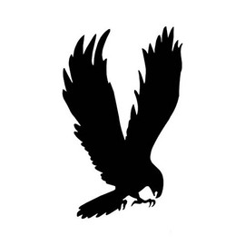 Ranger Hot Stickers TM Hawk Eagle Falcon Vulture Decal Sticker, Die Cut Vinyl Decal for Windows, Cars, Trucks, Tool Boxes, laptops, MacBook - virtually Any Hard, Smooth Surface