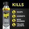 Raid Wasp & Hornet Killer Spray, Bug Killer Kills the