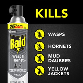 Raid Wasp & Hornet Killer Spray, Bug Killer Kills the Entire Nest, Kills Paper Wasps, Yellow Jackets, Mud Daubers and more, 17.5oz