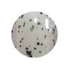 ICE GEL ABLACK 1279 Color Gel, Dalmatian Gel, 0.1 oz