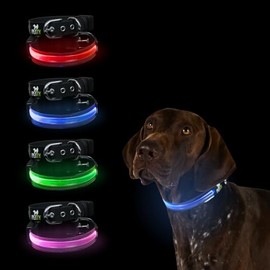 Petty Italia Verstellbares Hundehalsband aus Biothane mit LED, Nachtleuchtendes Halsband aus Biothane mit PVC und wiederaufladbarem Akku (Grün, XS)