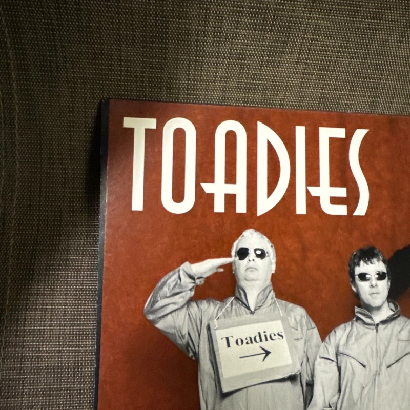 Toadies Hell Below/Stars Above 12x12 Album Cover Promo Poster DS