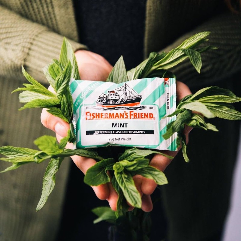 Fisherman's Friend Mint Sugar Free Flavour 25g x 12