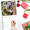 RED EMBER Koalas 2025 Wall Calendar 12 Month | 12"