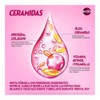 Sedal Shampoo Ceramidas 300 ml