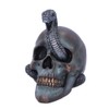 Nemesis Now Serpentine Fate Skull, Grey, 19cm