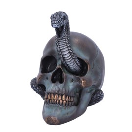 Nemesis Now Serpentine Fate Skull, Grey, 19cm