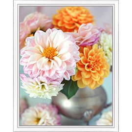 Pink Picasso Kits Botanical Floral Paint By Number for Adults | DIY Canvas Painting Kits Color by Numbers Drawing Arts and Drawing Crafts As Seen On Shark Tank | (Darling Dahlia) 16x20 - Paint Kit Set