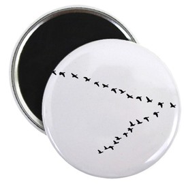 CafePress Geese Flying V Formation Magnets 2.25" Round Magnet (10 pack)