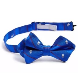 Nordstrom Boy's Blue Skull & Stripe Silk Bow Tie L37050 One Size