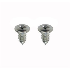 The Stop Shop 1967-1969 Quarter Window Seal Screws Pair