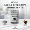 Charcoal Face Mask – Natural Black Mask with Bentonite Clay