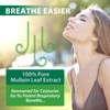 Mullein Leaf Extract for Lungs, Mullein Drops for Lungs, Support
