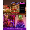 HIITEN RGB C9 Christmas Lights Outdoor 59ft 75LEDs, DIY Chasing