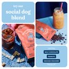 Chamberlain Coffee Social Dog Blend, Full Bodied Organic Coffee with