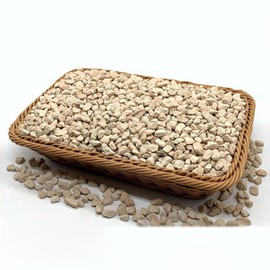 NOHOBE 2.5lb Premium Diatomite Rocks Soil Amendments Diatomaceous Earth(DE) Soil Additive for Succulent, Cacti, Indoor & Outdoor Container Plants- Fast Drainage, No Root Rot and Promotes Root Growth