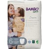 Bambo Nature Premium Eco-Friendly Training Pants, Size 6 (35+ Lbs),