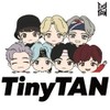 TinyTAN KPOP Merchandise - Calcetines con licencia oficial de K-POP