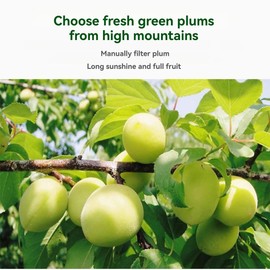 Preserved green plums 8.81OZ(250g), Sweet and Sour Plum, made from green plums，fruit snacks，Individual small packaging