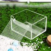 SAVITA Hermit Crab Water Tank, Open Mouth Transparent Hermit Crab