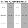 CHAMPRO HX Legend Plus Performance Baseball Batting Helmet with Removeable