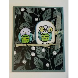 Stampin' Up! Stampin UP! Bird’s Eye View “it’s A good day to. Framed Florets DSP DIY Card Kit