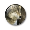 Wolf Wolf Grey Wolf European Wolf Fridge Magnets Set of