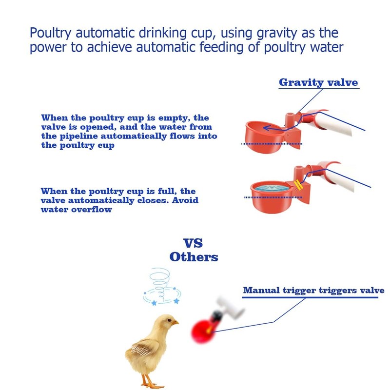 Complete Set Pipeline Automatic Chicken Waterer System(58 Accessories Included)Chicken Water