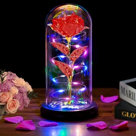 Christmas Rose Gifts for Women Mom, Womens gifts for Christmas, Glass Rose Flower Gifts for Sister, Rose Enchanted Crystal Flower Gift Light Up Rose in Glass Dome,Birthday Gifts for Women Wife Red