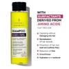 VITASEI Shampoo Kerabless With Onion And Tumeric - Hair Revitalizing