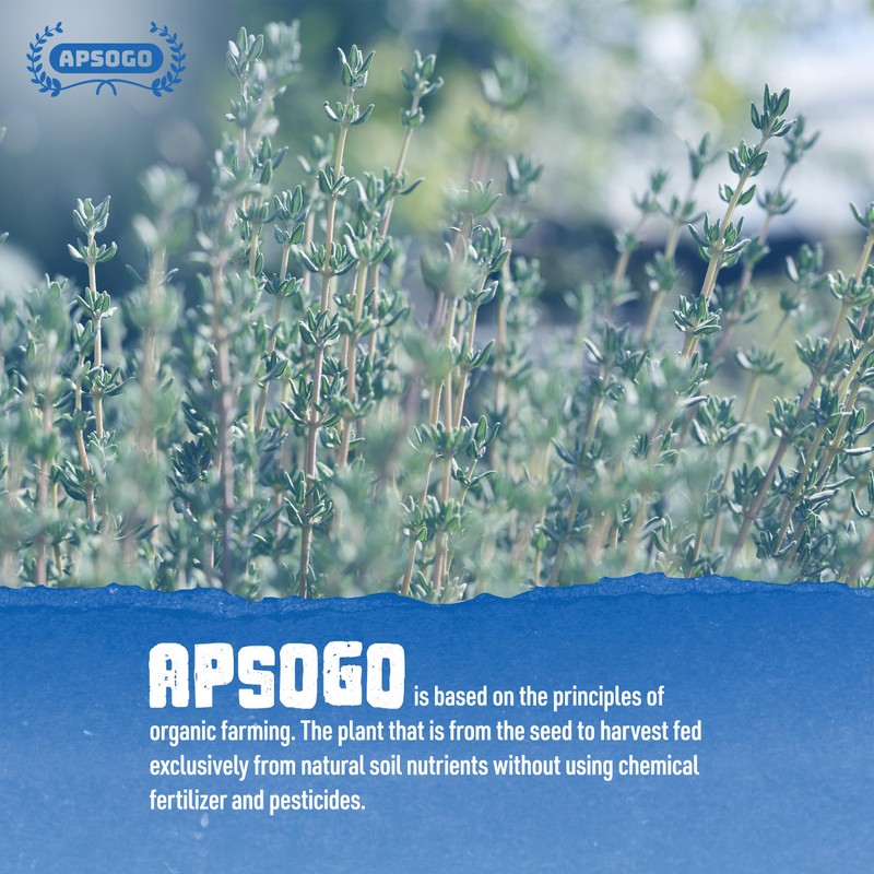 Apsogo Thyme - Dried Organic Thyme from Greece - Premium