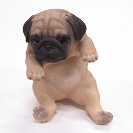 Oriental 石創 animaruobuje dogguo-namento Pug 14209