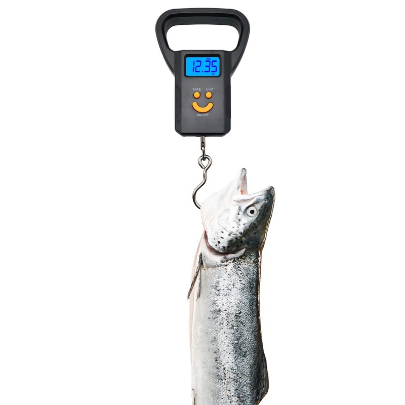 Portable Digital Scale 50kg - LCD Display with Backlight -