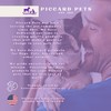 PICCARDMEDS4PETS Keto-Itch Plus Ear Flush 0.2% Chlhxdn + Keto 1%
