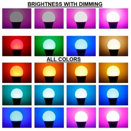 Low Voltage AC DC 12V Color Changing LED Light Bulb, 16 Colors, 3W, Remote Control, E26 Base for Content Creation, Landscape Accent Lighting and Photography 12 Volt