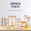 Erboristeria Magentina Arnica Forte Pomata 100 ml Tubo