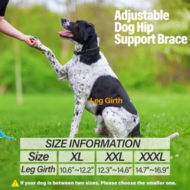 Dog Knee Brace with Side Stabilizers - Support for Dog ACL CCL Cruciate Ligament Injury Joint Pain and Muscle Sore（Size XXXL