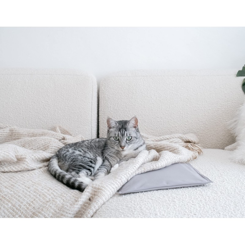 Hotties Pet Warmer - Bite and Claw Resistant