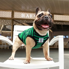 iChoue French Bulldog Striped T Shirts Clothes for Medium Dogs Vest Tank Tops Puppy Frenchie Pug English Boston Terrier Pitbull Green Black Strips - M