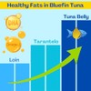 Yellowfin Tuna Belly in Olive Oil - 4.23 oz (120g)