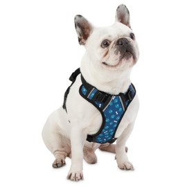TOTTO - Heikul Dog Chest Harness, Small Dog Harness, Adjustable, Reflective Details, Loop and Handle, Easy to Fit, Lightweight with Blue and Green