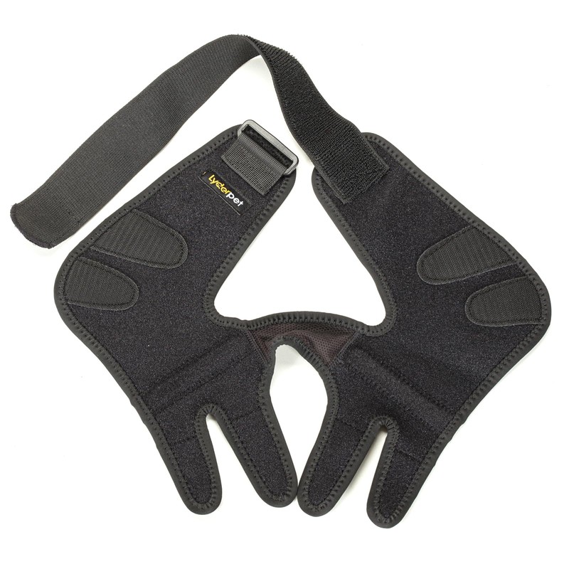 Lyderpet Dog Elbow Brace with Metal Splint,Hygroma Elbow Protector Pads