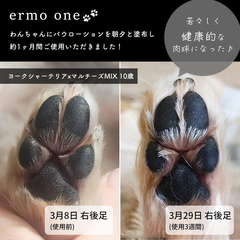 ermo one Paw Moisturizing Lotion, 2.8 fl oz (80 ml),