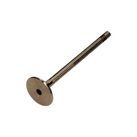 IPSA VL138500 Exhaust Valve