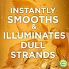 Garnier Whole Blends Illuminating Conditioner Moroccan Argan and Camellia Oils
