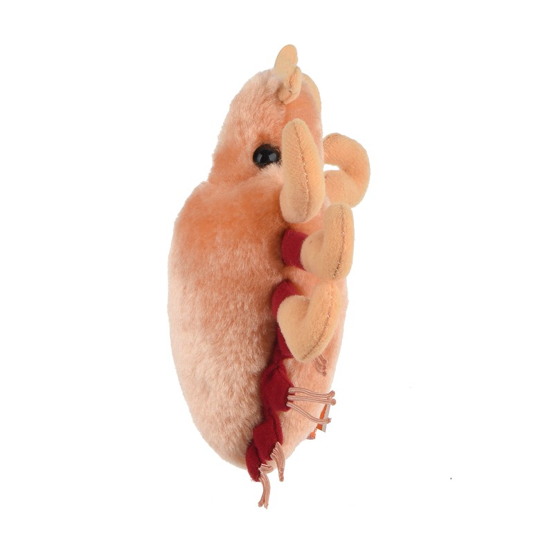 Giant Microbes Crab Louse (Pthirus Pubis) 6" Plush