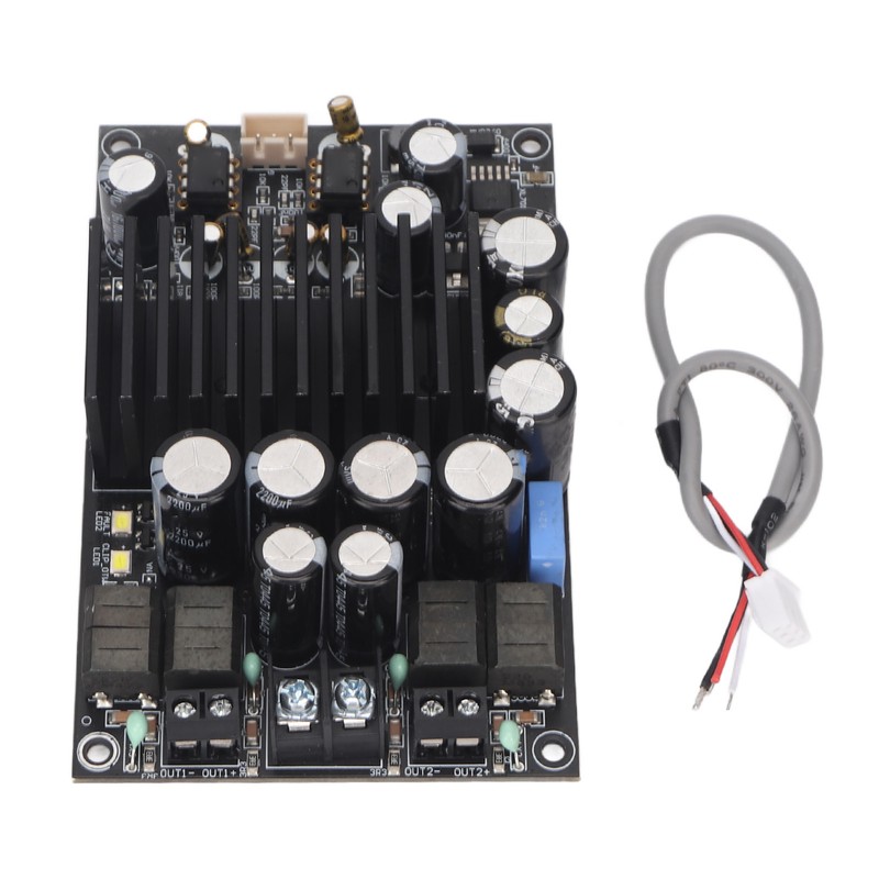 HIFI Digital Power Amplifier Board Professional 2.0 Channel Class D